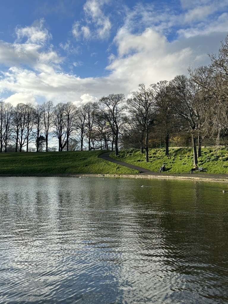 Stagno con prato e alberi sulla collinetta sullo sfondo