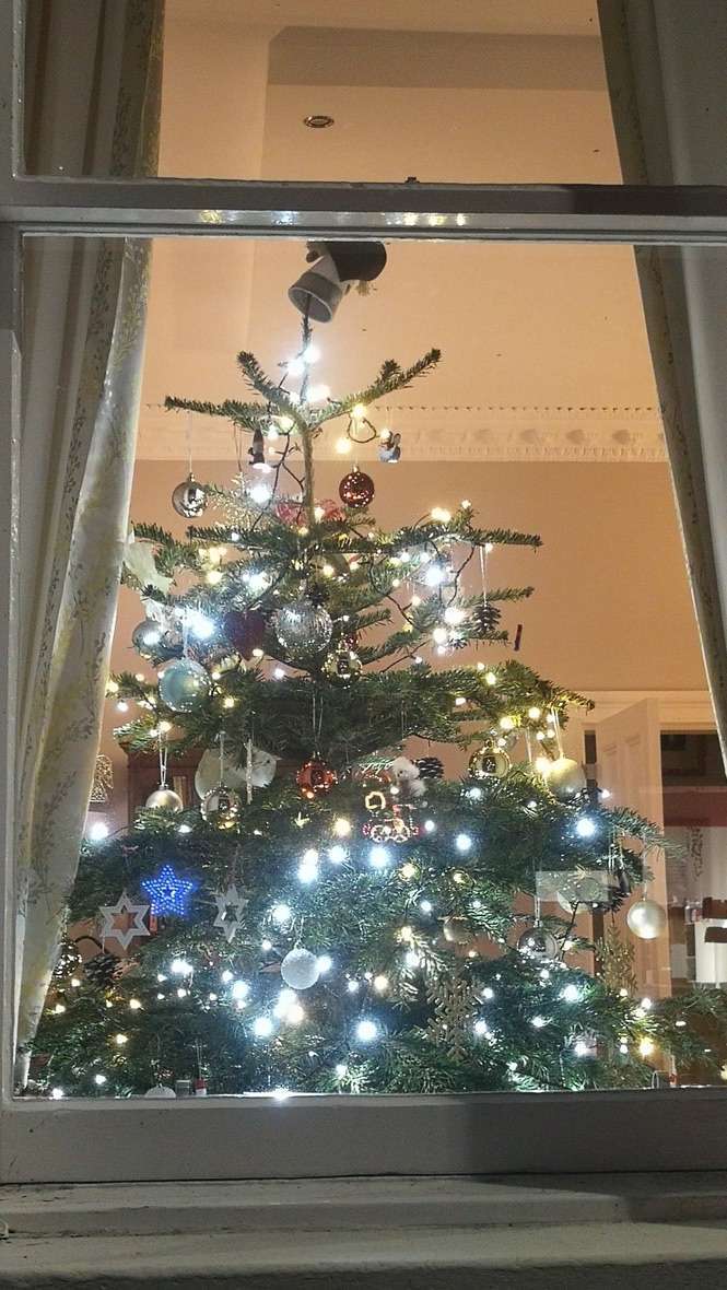 Albero di Natale in Scozia davanti alla finestra