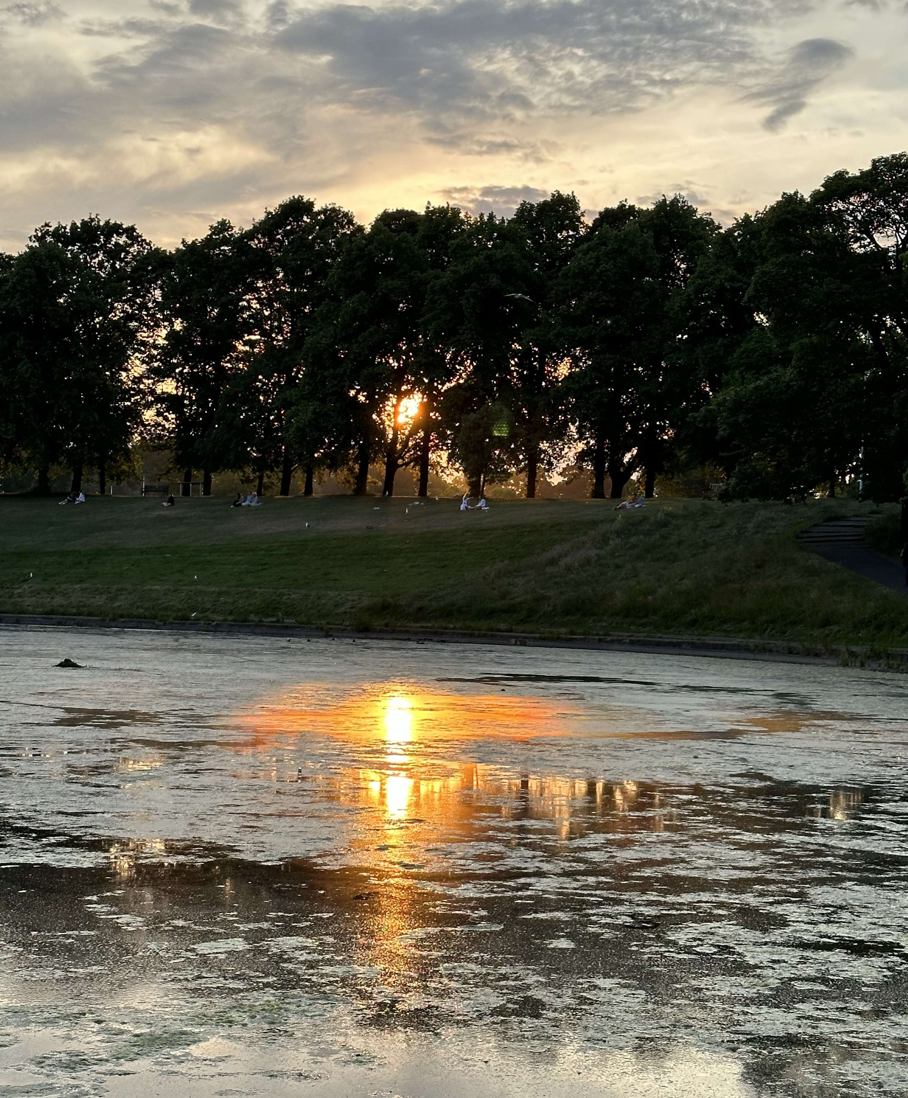 Tramonto riflesso sul lago con alberi sullo sfondo