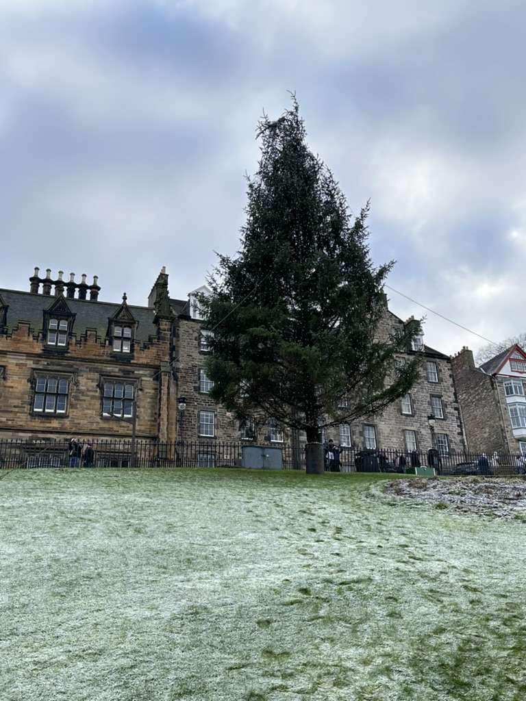 Albero di Natale a Edimburgo