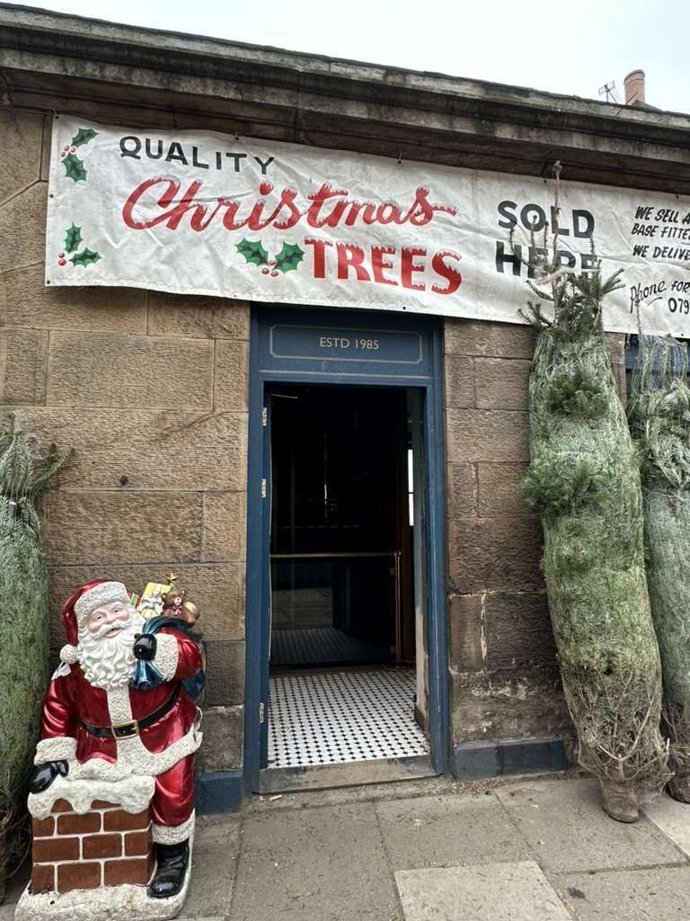 Scritta 'Christmas trees sold here'