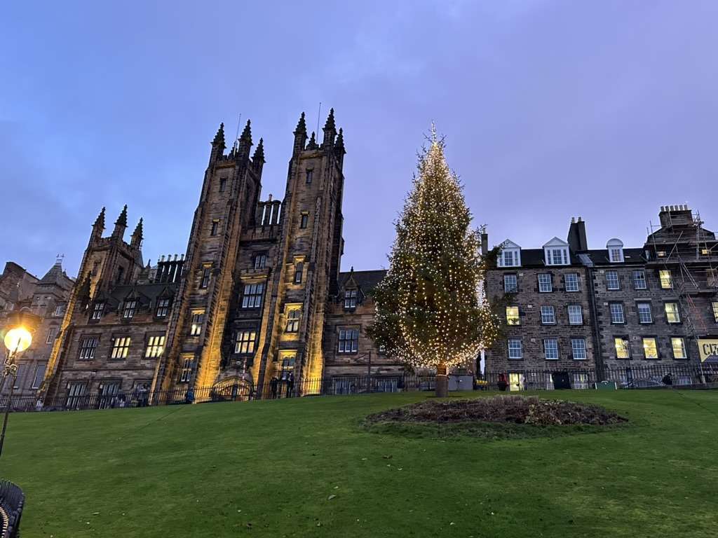 Albero Natale a Edimburgo su collina verde