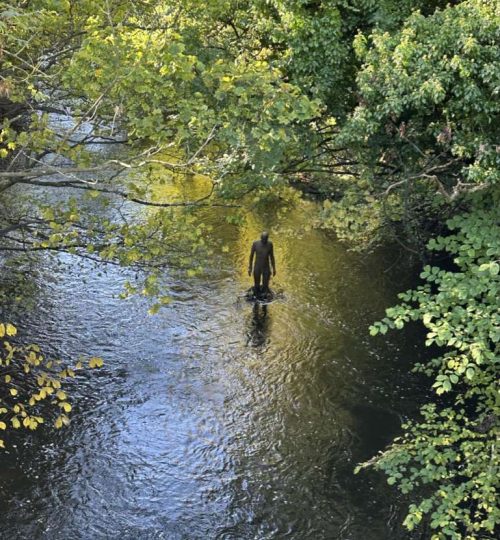 Statua di uomo nel fiume di Water of Leith e alberi sulle sponde e sopra