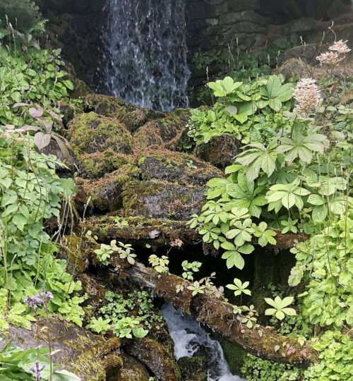 Cascata che cade giù in mezzo alla vegetazione e a tronchi